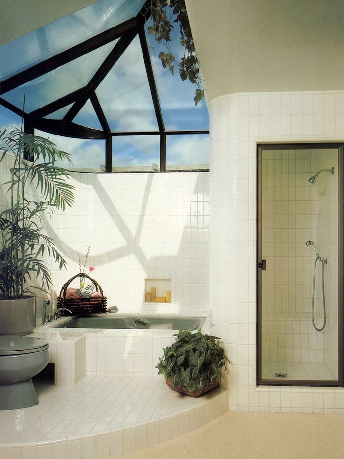 Bathroom with a skylight and indoor plants