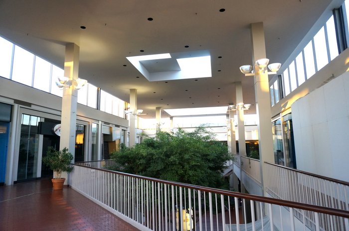 Dead mall indoor greenery