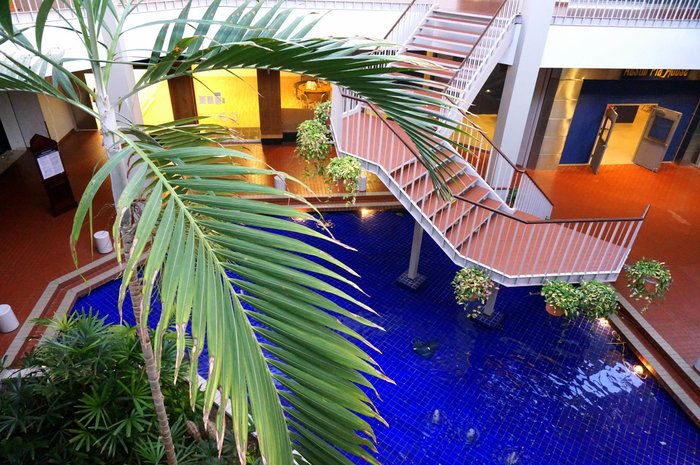 Indoor mall palm tree