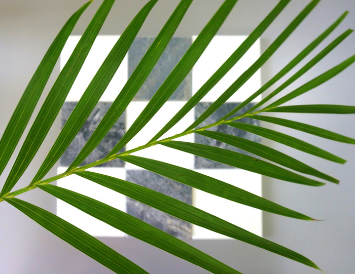 Palm fronds are the perfect accessory to this party