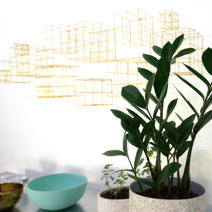 Houseplants and a wall grid-001