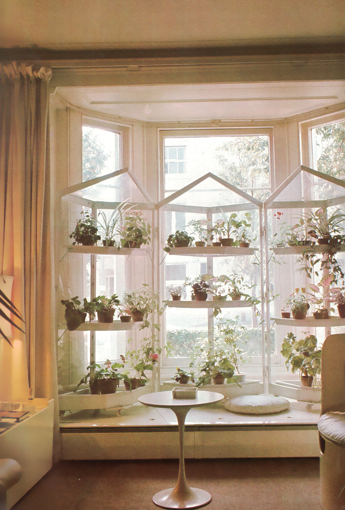 Retro window display of plants