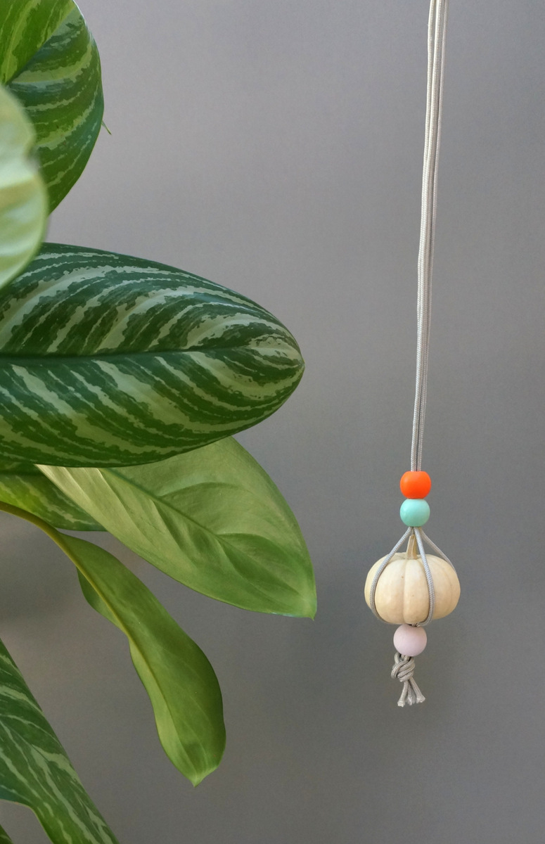 DIY hanging pumpkin with plant-002