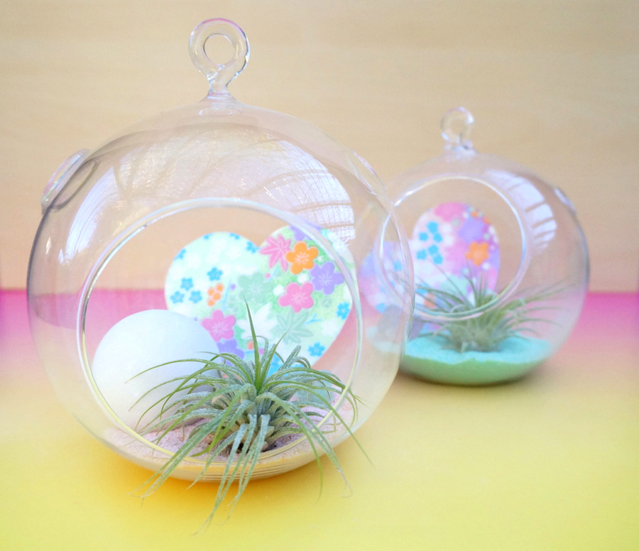 DIY Valentine crafts pastel air plant terrariums