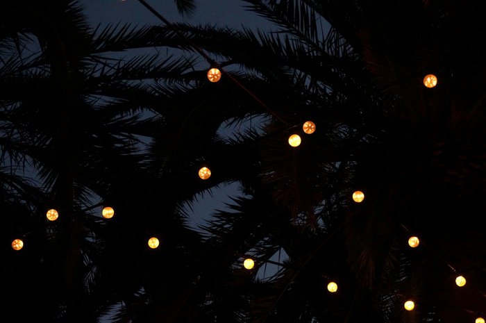 Globe lights and palms