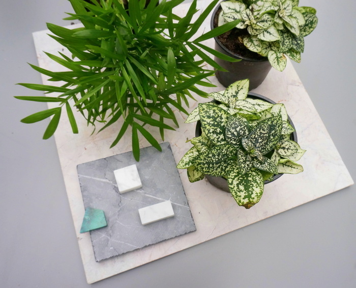 Indoor plants and marble tile