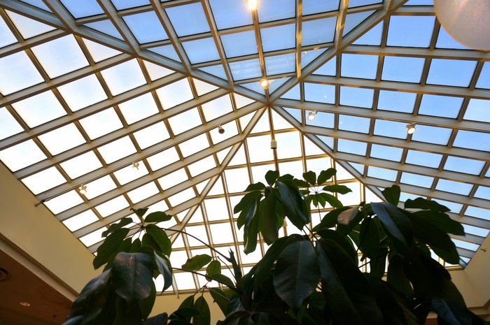 Dead mall domed skylight